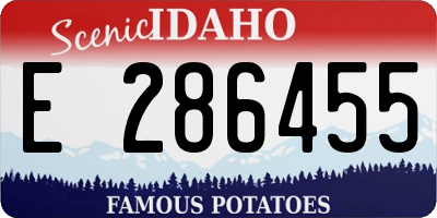 ID license plate E286455
