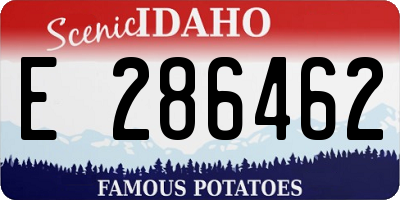ID license plate E286462