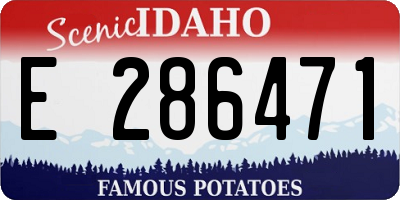 ID license plate E286471