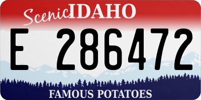 ID license plate E286472