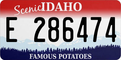 ID license plate E286474