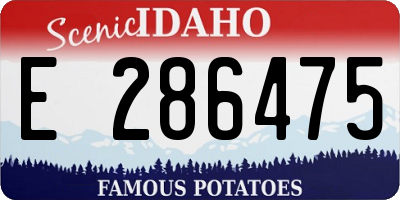 ID license plate E286475