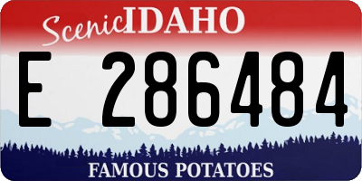 ID license plate E286484