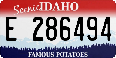 ID license plate E286494
