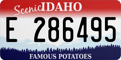 ID license plate E286495
