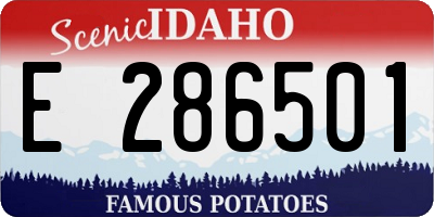 ID license plate E286501