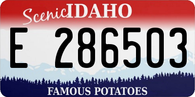 ID license plate E286503