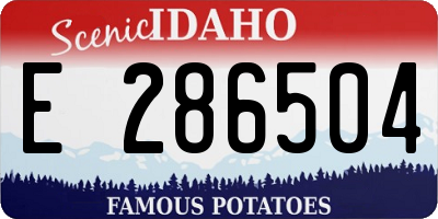 ID license plate E286504