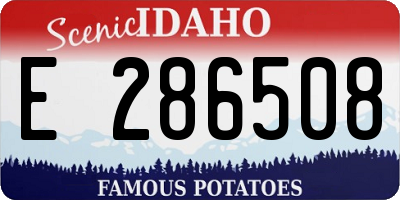 ID license plate E286508