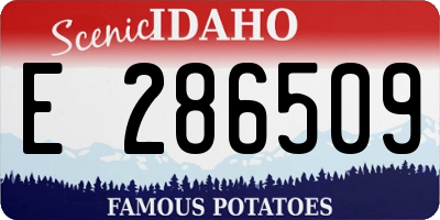 ID license plate E286509