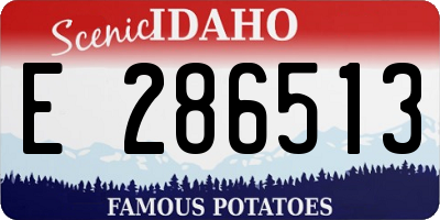 ID license plate E286513