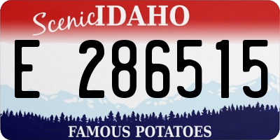 ID license plate E286515