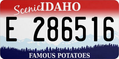 ID license plate E286516