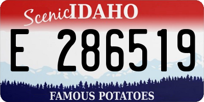 ID license plate E286519