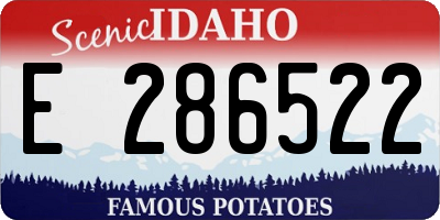 ID license plate E286522