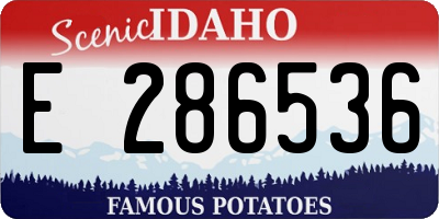 ID license plate E286536