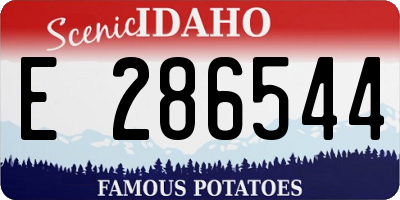 ID license plate E286544