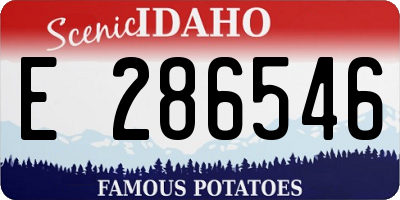 ID license plate E286546