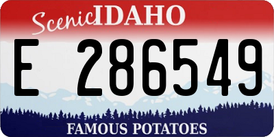 ID license plate E286549