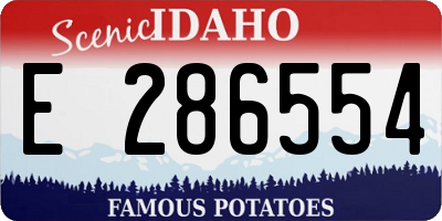 ID license plate E286554
