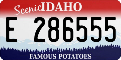 ID license plate E286555
