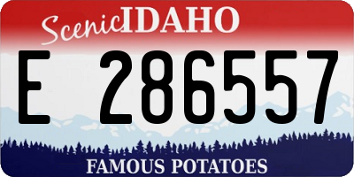 ID license plate E286557
