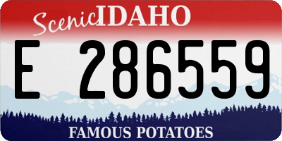 ID license plate E286559