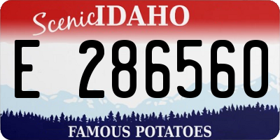 ID license plate E286560