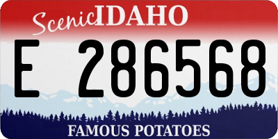 ID license plate E286568