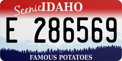 ID license plate E286569