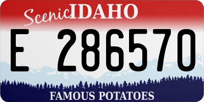 ID license plate E286570