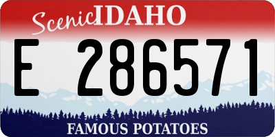 ID license plate E286571