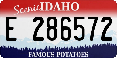 ID license plate E286572