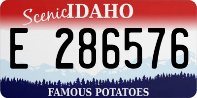 ID license plate E286576