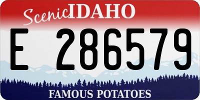 ID license plate E286579