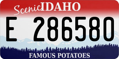 ID license plate E286580