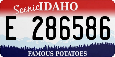 ID license plate E286586