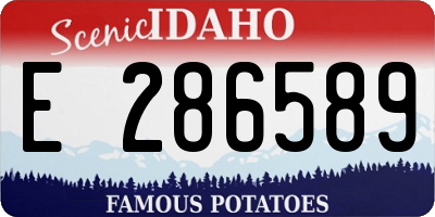 ID license plate E286589