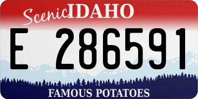 ID license plate E286591