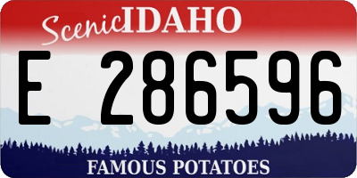 ID license plate E286596