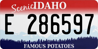 ID license plate E286597