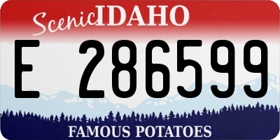 ID license plate E286599