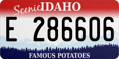 ID license plate E286606