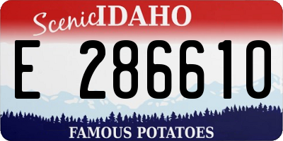 ID license plate E286610