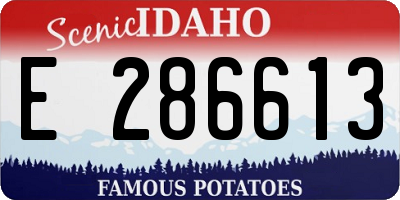 ID license plate E286613