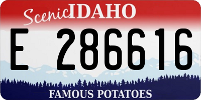 ID license plate E286616