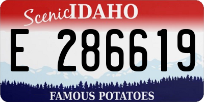 ID license plate E286619