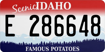 ID license plate E286648