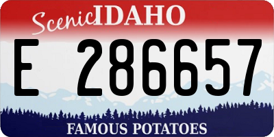ID license plate E286657