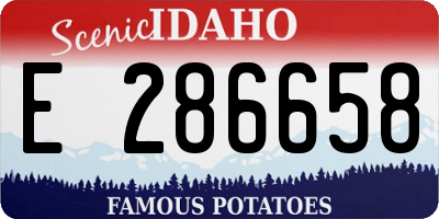 ID license plate E286658